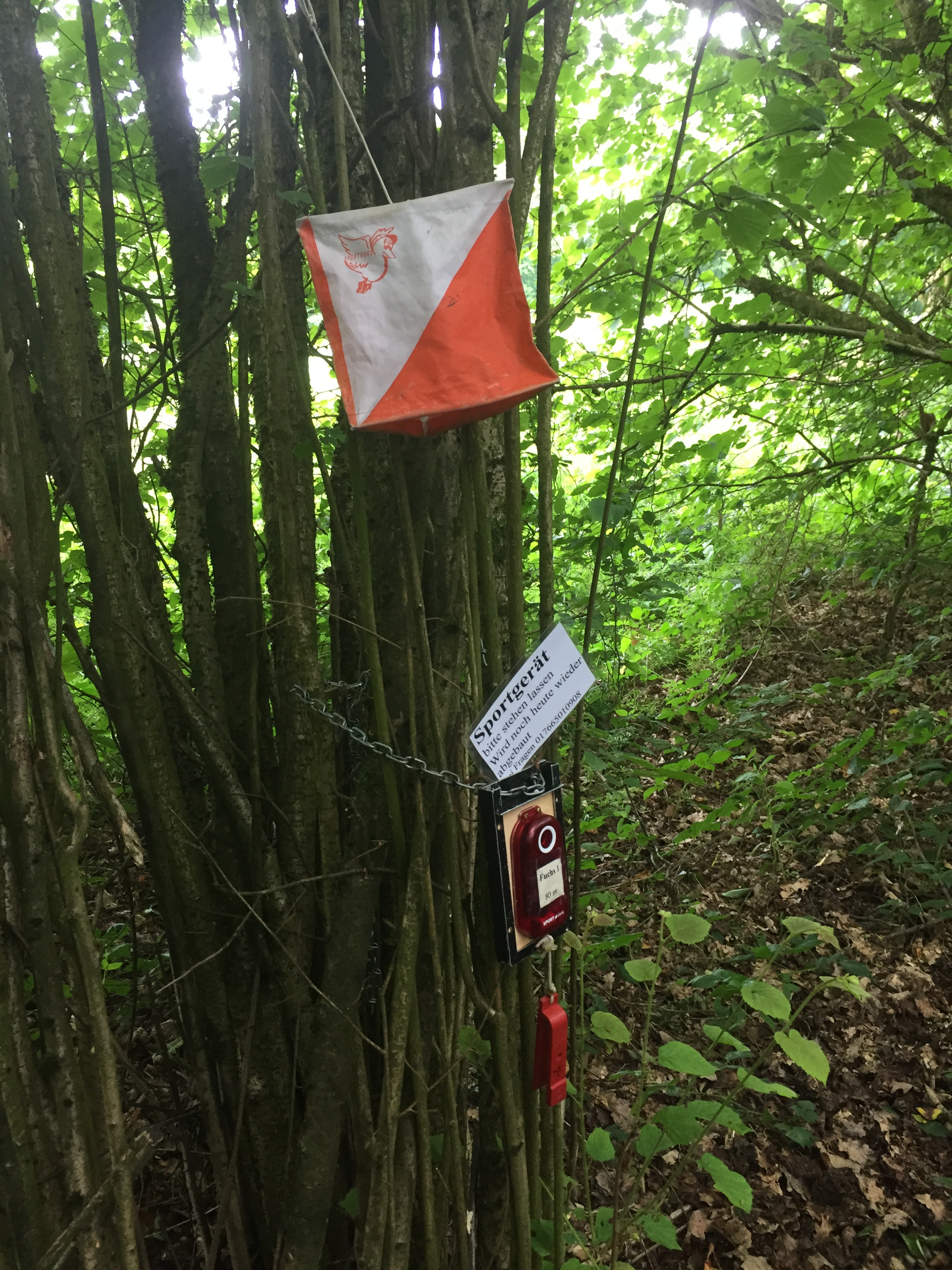 Der folgende Alt-Text wurde noch nicht geprüft: Kurzfassung: An einem mehrstämmigen Strauch im Wald hängen eine orange-weiße Orientierungslauf-Flagge und eine mit Kette befestigte Station mit rotem Gerät und Hinweisschild.

Detailbeschreibung: In dichtem Grün mit vielen Blättern und dünnen Stämmen ist eine würfelförmige, diagonal orange-weiß geteilte Flagge mit einem kleinen Vogel-Logo sichtbar, die an einer Schnur hängt. Darunter ist um mehrere Stämme eine Metallkette gelegt, an der eine schwarze Montageplatte befestigt ist. Auf der Platte sitzt ein rotes, rechteckiges Gerät mit rundem, hell umrandetem Element (ähnlich einem Knopf oder Sensor) und darunter ein weiterer kleiner, roter Anhänger. Oberhalb des Geräts steckt ein laminiertes Schild mit der Überschrift „Sportgerät“ und weiterem deutschsprachigen Hinweistext. Der Boden ist mit Laub bedeckt, es sind keine Personen zu sehen; im Hintergrund dichter Wald mit diffusem Tageslicht.