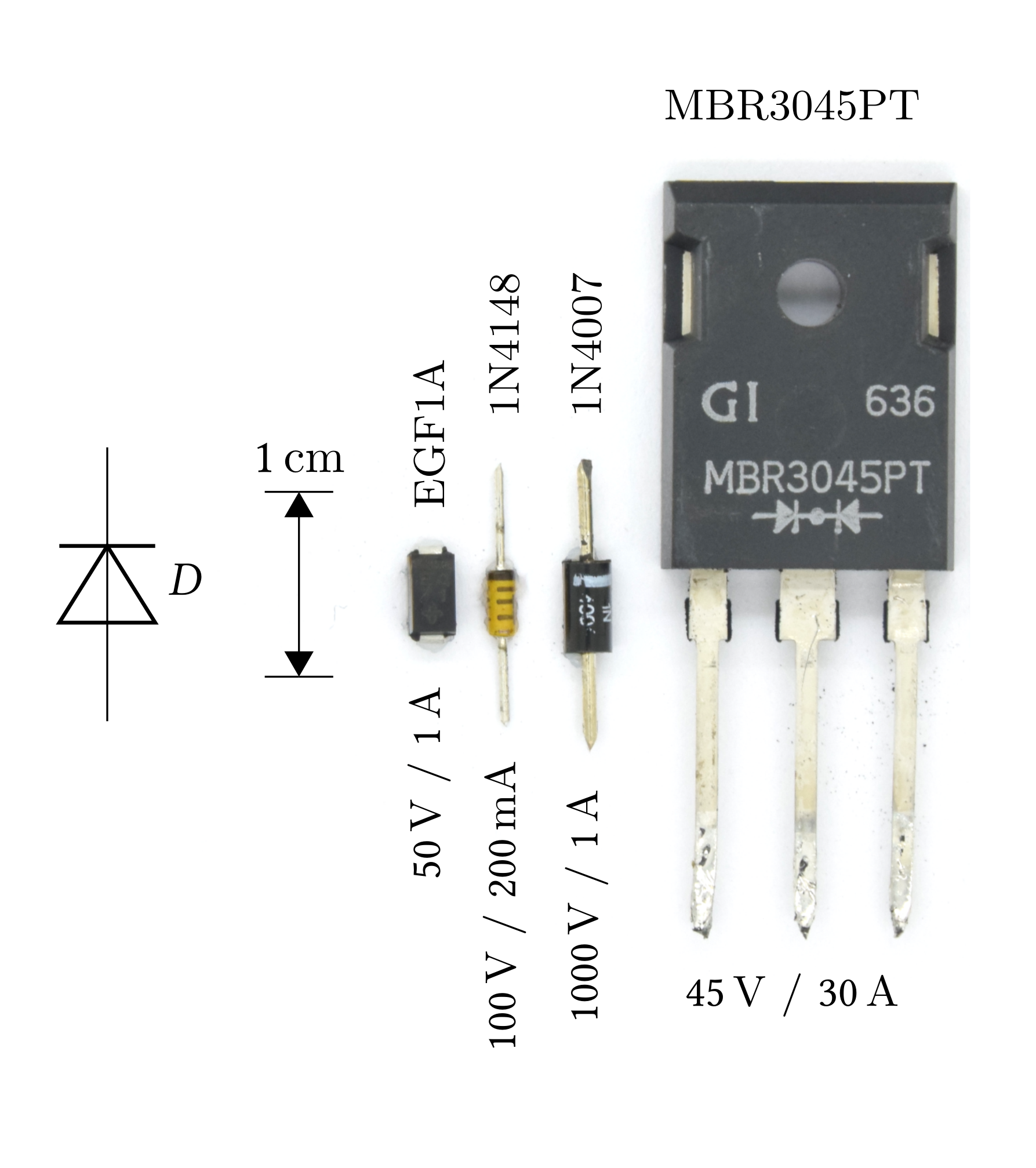 1) Kurzbeschreibung: Foto mit vier Dioden unterschiedlicher Bauform und Größe, einem Maßstab und Angaben zu den Grenzdaten.

2) Ausführliche Beschreibung: Links steht ein Schaltzeichen für eine Diode „D“. Daneben zeigt ein vertikaler Doppelpfeil den Maßstab „1 cm“. In der Bildmitte sind drei kleine Dioden vertikal ausgerichtet: links ein schwarzes, quaderförmiges SMD-Bauteil „EGF1A“ mit den Angaben „50 V / 1 A“; in der Mitte eine kleine, bernsteinfarbene Glasdiode „1N4148“ mit axialen Drahtanschlüssen mit den Angaben „100 V / 200 mA“; rechts davon eine schwarze, zylindrische Kunststoffdiode „1N4007“ mit axialen Anschlüssen mit den Angaben „1000 V / 1 A“. Rechts im Bild befindet sich ein großes, schwarzes Dreibein-Leistungsgehäuse mit Befestigungsloch und drei langen, silbernen Anschlüssen. Unterhalb steht „45 V / 30 A“ und oben rechts im Bild „MBR3045PT“.